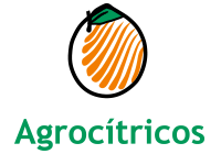 logo8